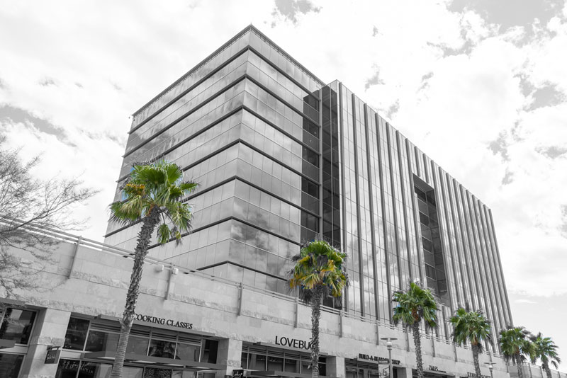  A unique bottom-up perspective of the base and capital of an imposing office building, framed by palm trees on the outside, conveying a sense of architectural grandeur and tropical elegance.
