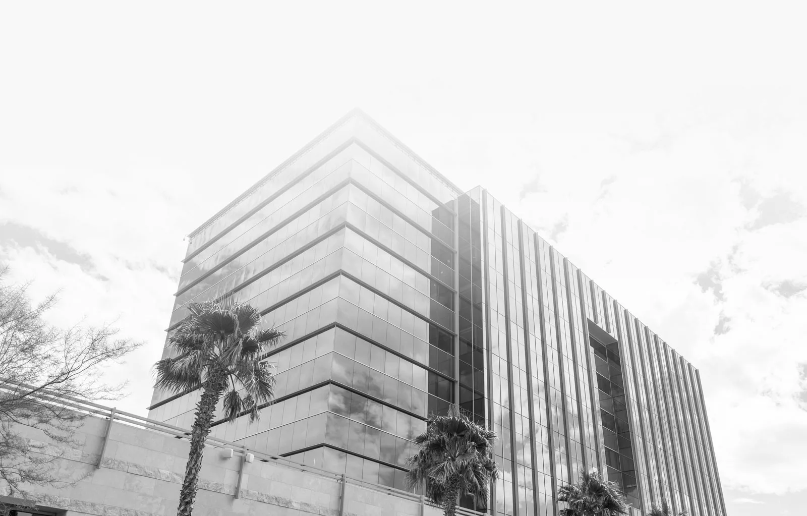 A unique bottom-up perspective of the base and capital of an imposing office building, framed by palm trees on the outside, conveying a sense of architectural grandeur and tropical elegance.